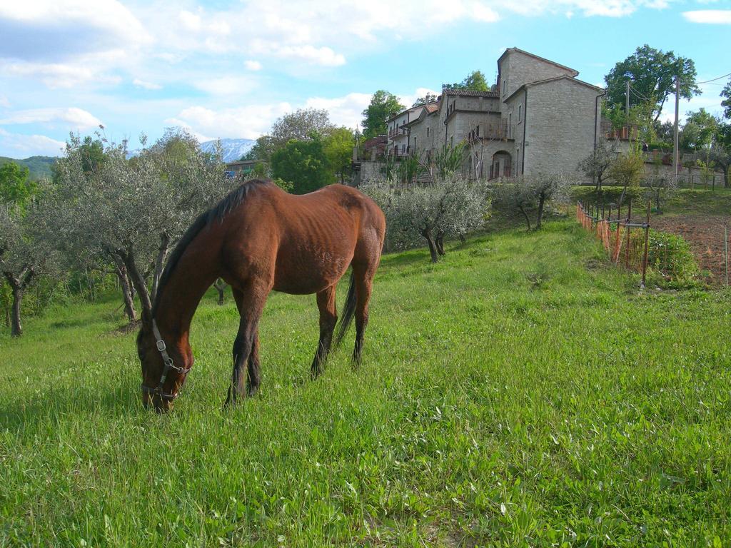 Agriturismo Borgo San Martino Villa Abbateggio Exterior foto