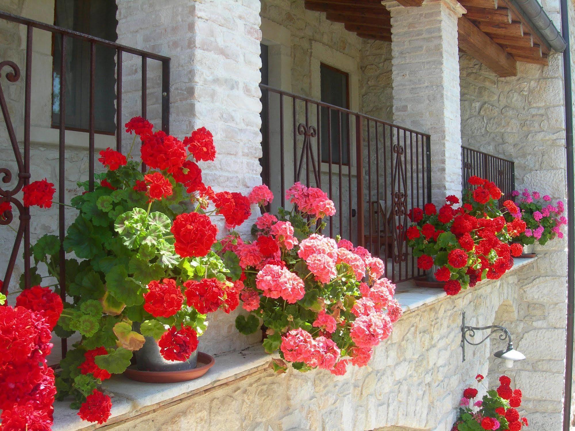 Agriturismo Borgo San Martino Villa Abbateggio Exterior foto